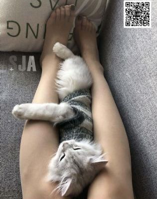 《中国机长》免费播放_不卡在线观看