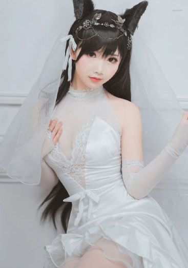 夺宝熊兵_BD韩语免费在线观看