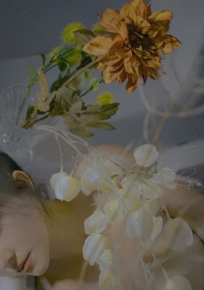 岁岁青莲_超清免费播放