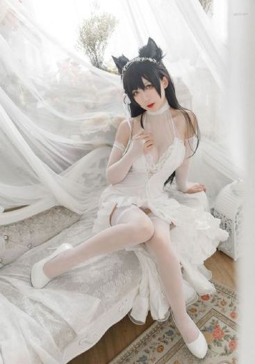 一本到在线视频_BD免费在线播放